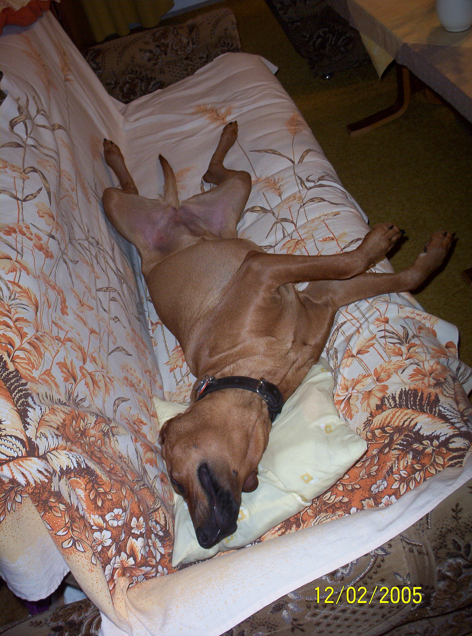 100_1203.JPG